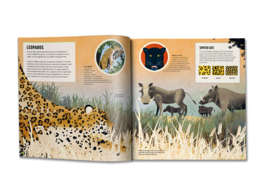 Amazing Animals - What on Earth Publishing What On Earth? Books